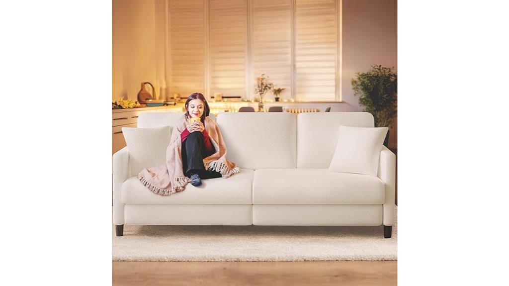 comfortable living room sofas