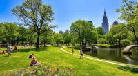 importance of urban greenery