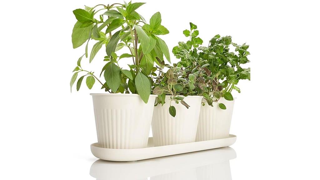 indoor herb garden planter
