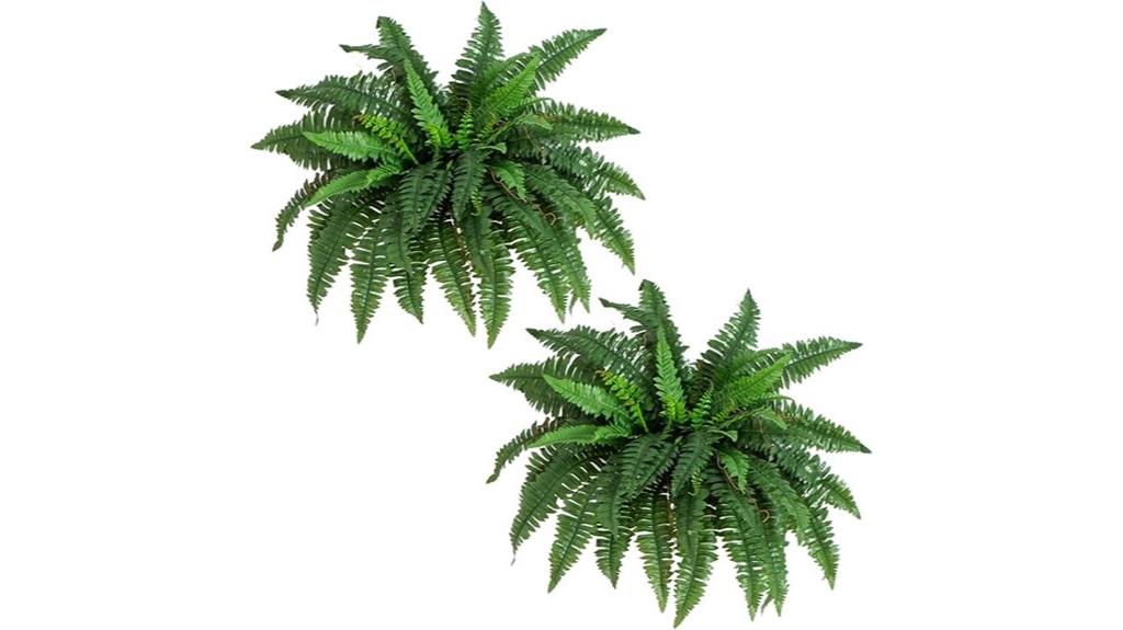 set of two ferns