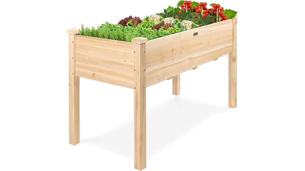 spacious elevated garden planter