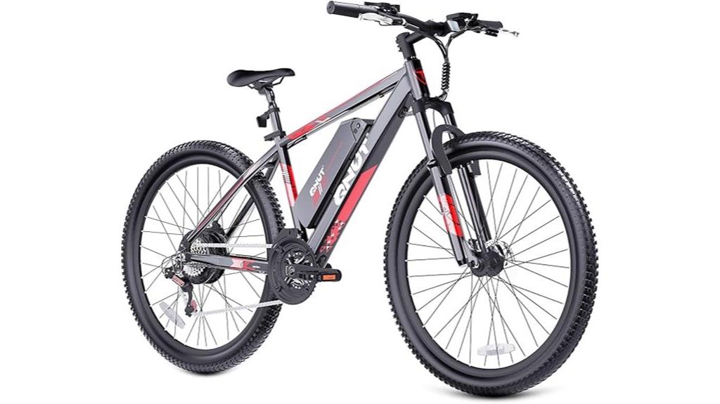 adult electric bike features