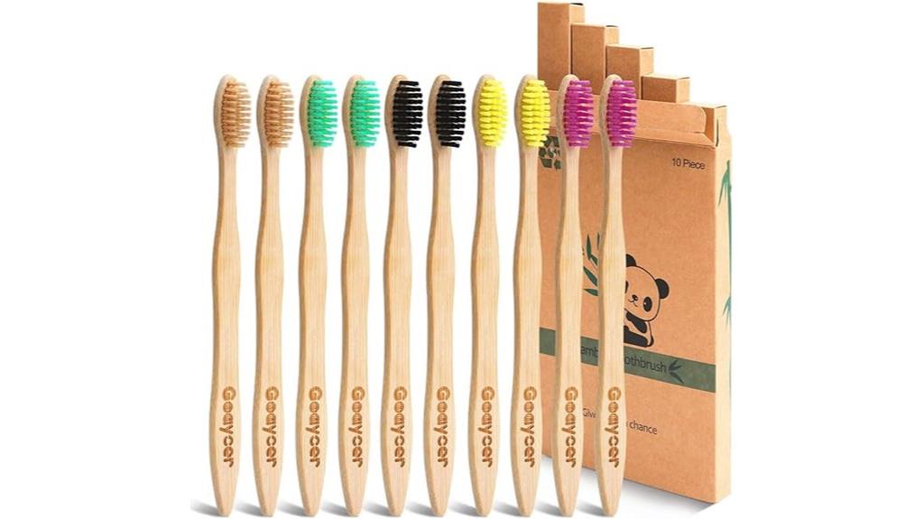 bamboo toothbrushes 10 pack