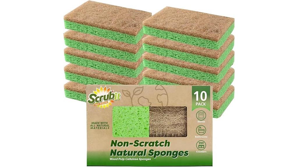 biodegradable cellulose coconut sponges