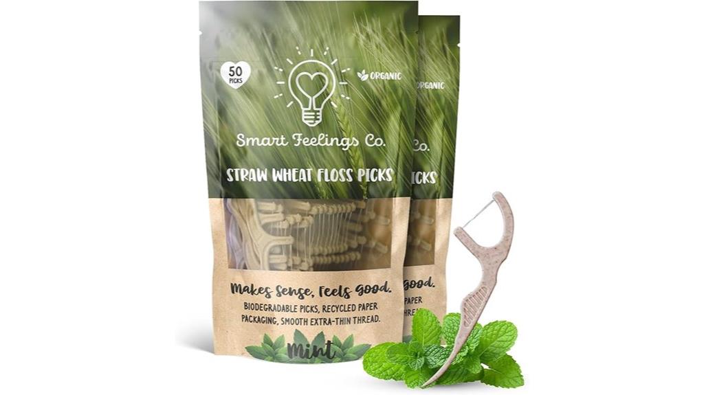 biodegradable floss picks 100 pack