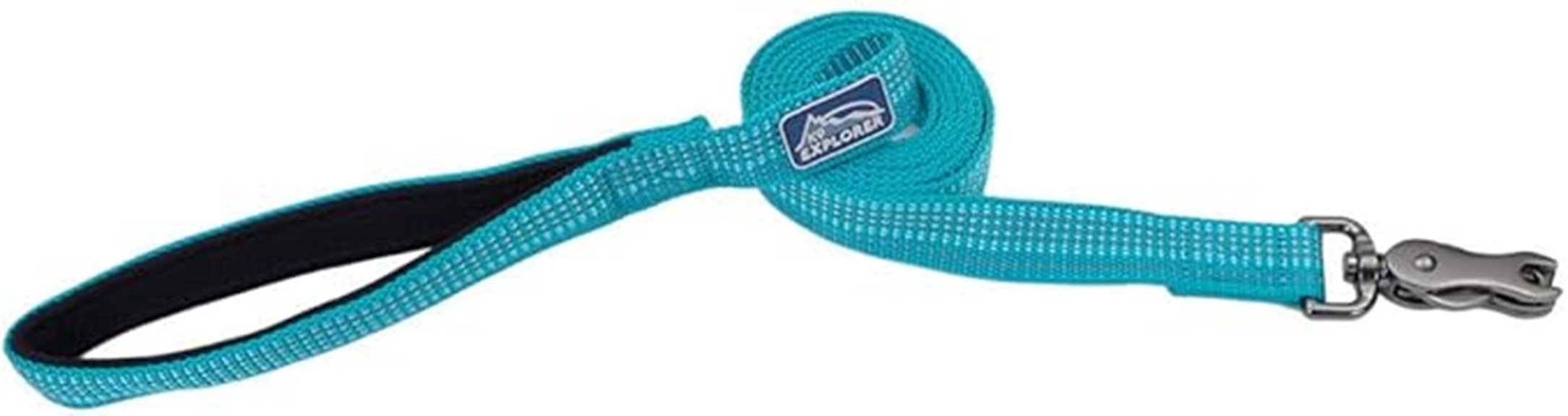 bright coastal reflective leash
