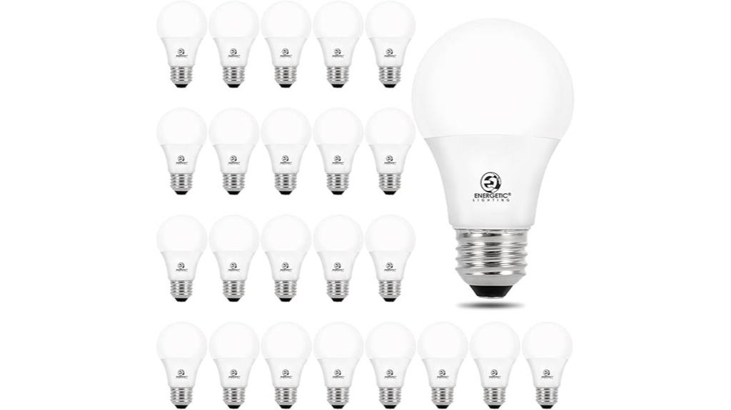 bulk bright energy bulbs