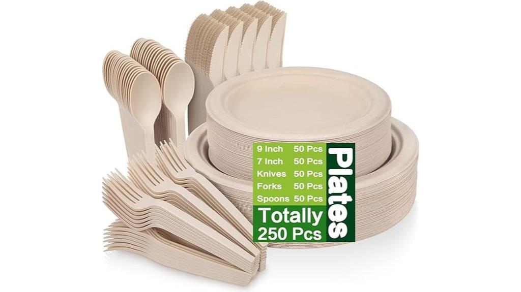 compostable paper plate set
