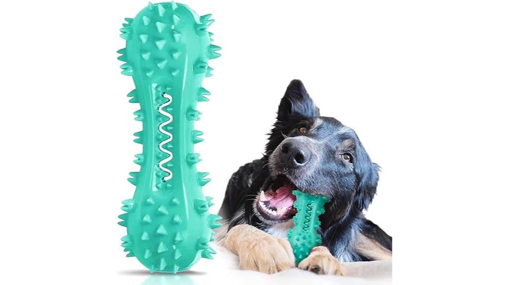 dog dental chew toy