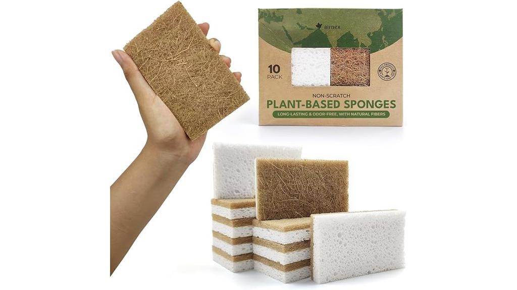 eco friendly cleaning sponges