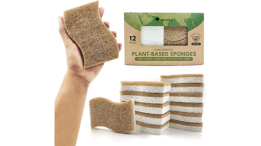 eco friendly cleaning sponges