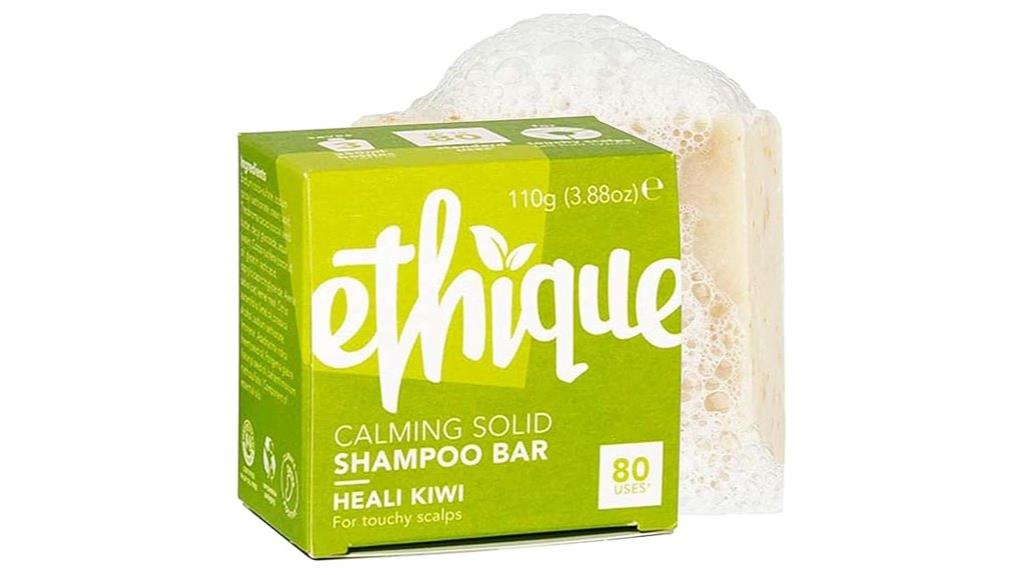 eco friendly solid shampoo