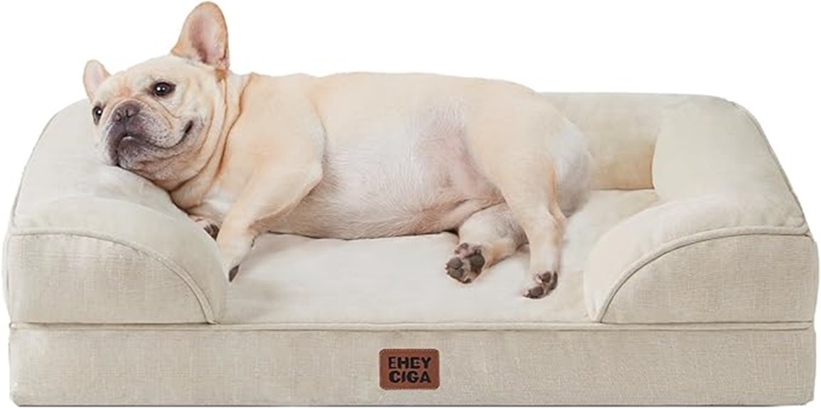 orthopedic medium dog bed