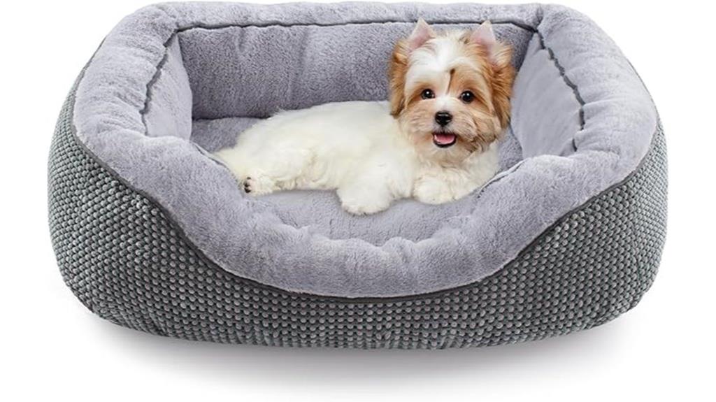 small dog bed