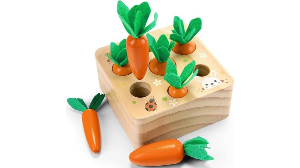 wooden shape sorting puzzle