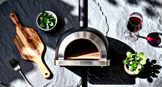 10 Best Pizza Ovens Outdoor in 2026