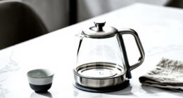 11 Best Glass Electric Kettles in 2026