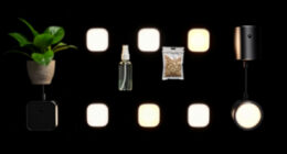 12 Best Grow Lights Full Spectrum in 2026