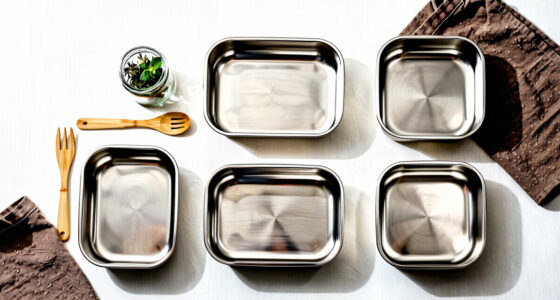 12 Best Stainless Steel Lunch Boxes in 2026