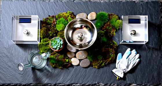 7 Best Bird Baths Solar Fountain in 2026