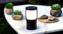 7 Best Solar Outdoor Lights in 2026