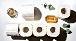 9 Best Toilet Paper Bamboo in 2026