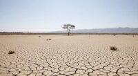 drought shifts conservation focus