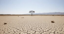 drought shifts conservation focus