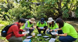 engaging public in conservation