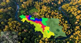 enhanced data improves conservation