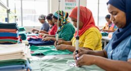 fair labor and sustainability