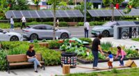 income influences sustainable choices