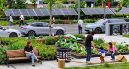 income influences sustainable choices