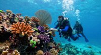 innovative coral restoration methods