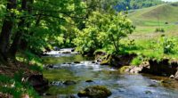 nature helps climate resilience