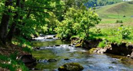 nature helps climate resilience