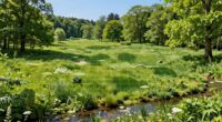 protecting thirty square miles