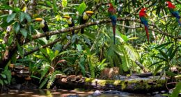 urgent need for conservation