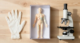 Gunther Von Hagens