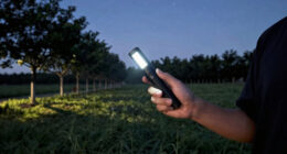 LEDs’ Potential To Save Our Night Skies
