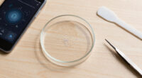 What Do We Know About The Microplastics Inside Us?