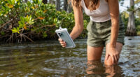 Woman Wading in Florida River Dies After Being Bitten by Alligator