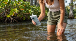 Woman Wading in Florida River Dies After Being Bitten by Alligator