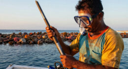 Bomb Fishing Is Wreaking Havoc On Indonesia's Coral Reefs