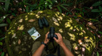 Odzala-Kokoua National Park Surges In Global Coverage