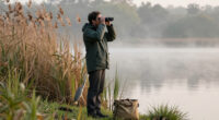 15 Best Binoculars for Bird Watching in 2026