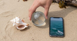 Yellow Sea, Oceans (General), Oceans Surges In Global Coverage