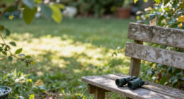 Best Gifts for a Bird Watcher: Backyard and Field Picks They'll Enjoy Using